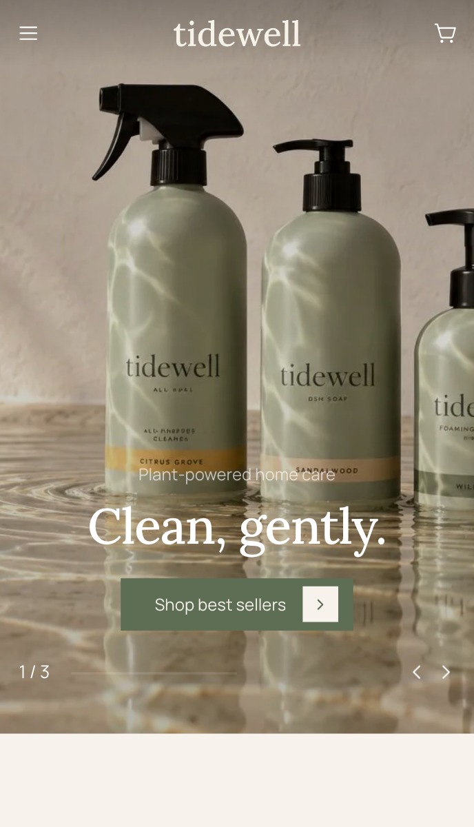 Tidewell | EasyStore themes