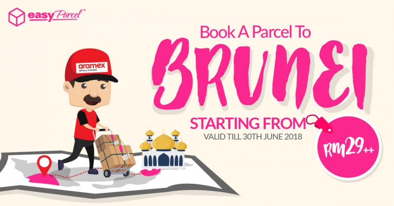 Book a Parcel to Brunei is Now 2x Cheaper with Aramex! | EasyStore