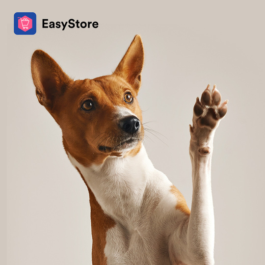 寵物商機熱！看寵物電商如何透過多管道銷售，雙 11 業績成長 496 % | EasyStore